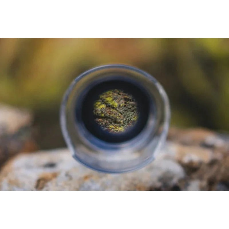 INSPECTOR MICROSCOPE 4X MULTIPLIER LENS