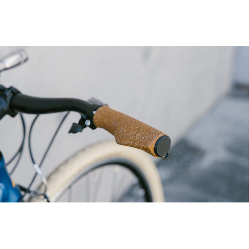 FUJI_【2026年モデル】RAIZ