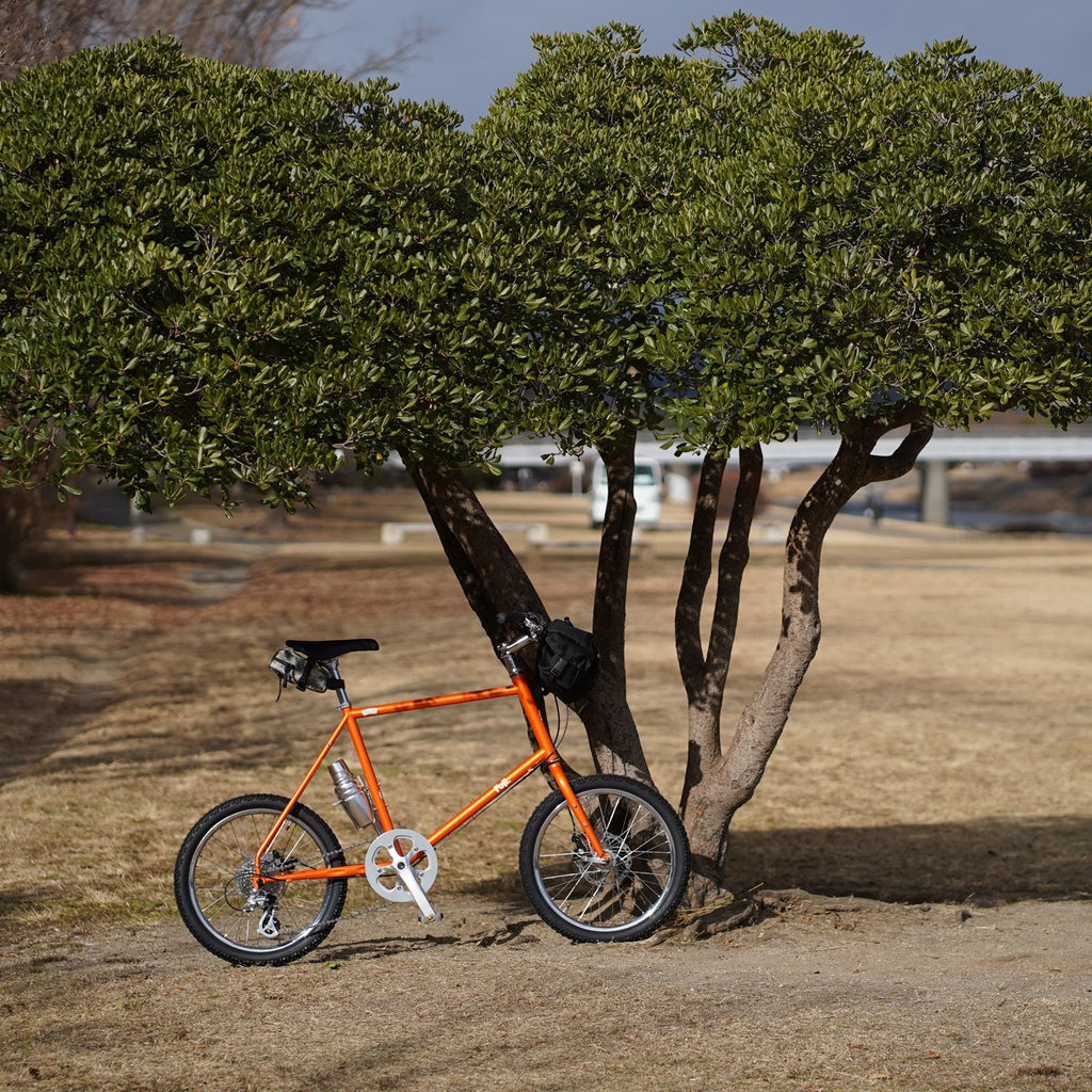 FUJI_【2025年モデル】STAUT