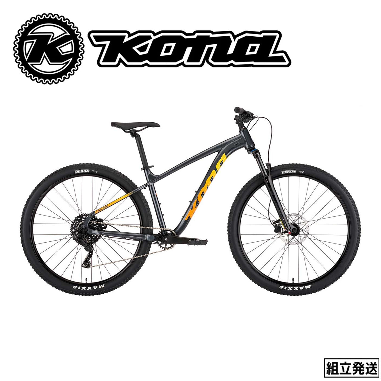 【2025年モデル】LAVA DOME エントリーMTB 29er マウンテンバイク 初心者向け MTB MICROSHIFT 9速 アルミハードテイル MTB 通勤対応 MTB コスパ重視 マウンテンバイク