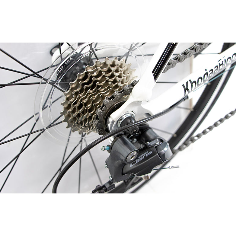 【2026年モデル】STRAUSS 24 STRAUSS 24 コーダーブルーム ジュニアロードバイク Shimano Claris 子ども用ロード ジュニアレーサー 初めてのロードバイク