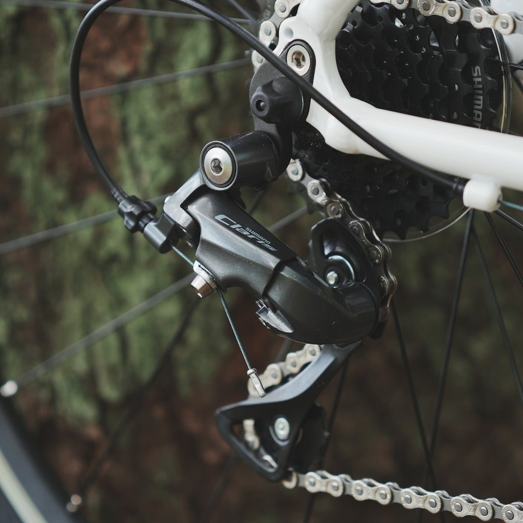 KhodaaBloom_*【2026年モデル】FARNA