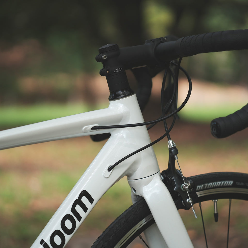 KhodaaBloom_*【2026年モデル】FARNA