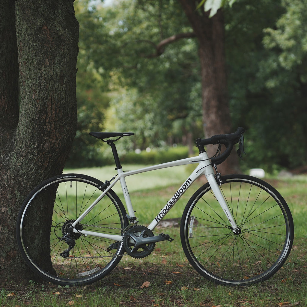 KhodaaBloom_*【2026年モデル】FARNA