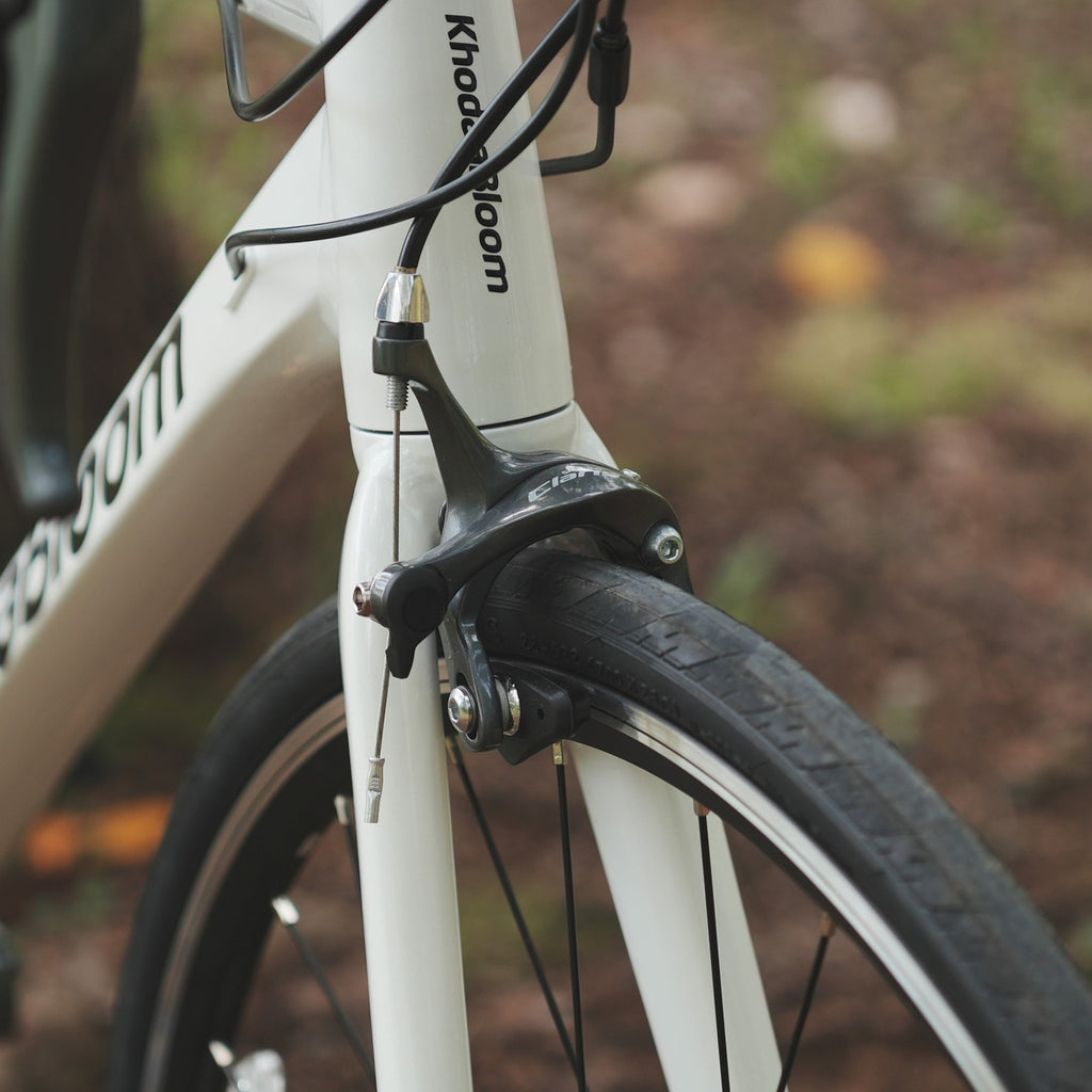 KhodaaBloom_*【2026年モデル】FARNA