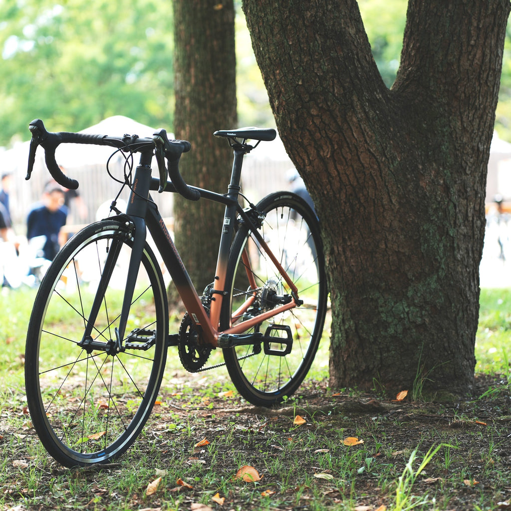 KhodaaBloom_*【2026年モデル】FARNA SL1