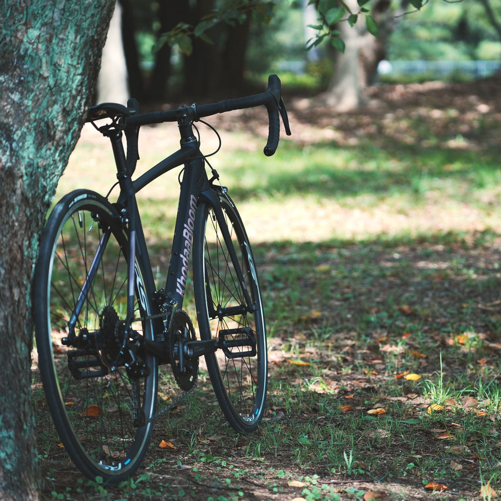 KhodaaBloom_*【2026年モデル】FARNA SL2