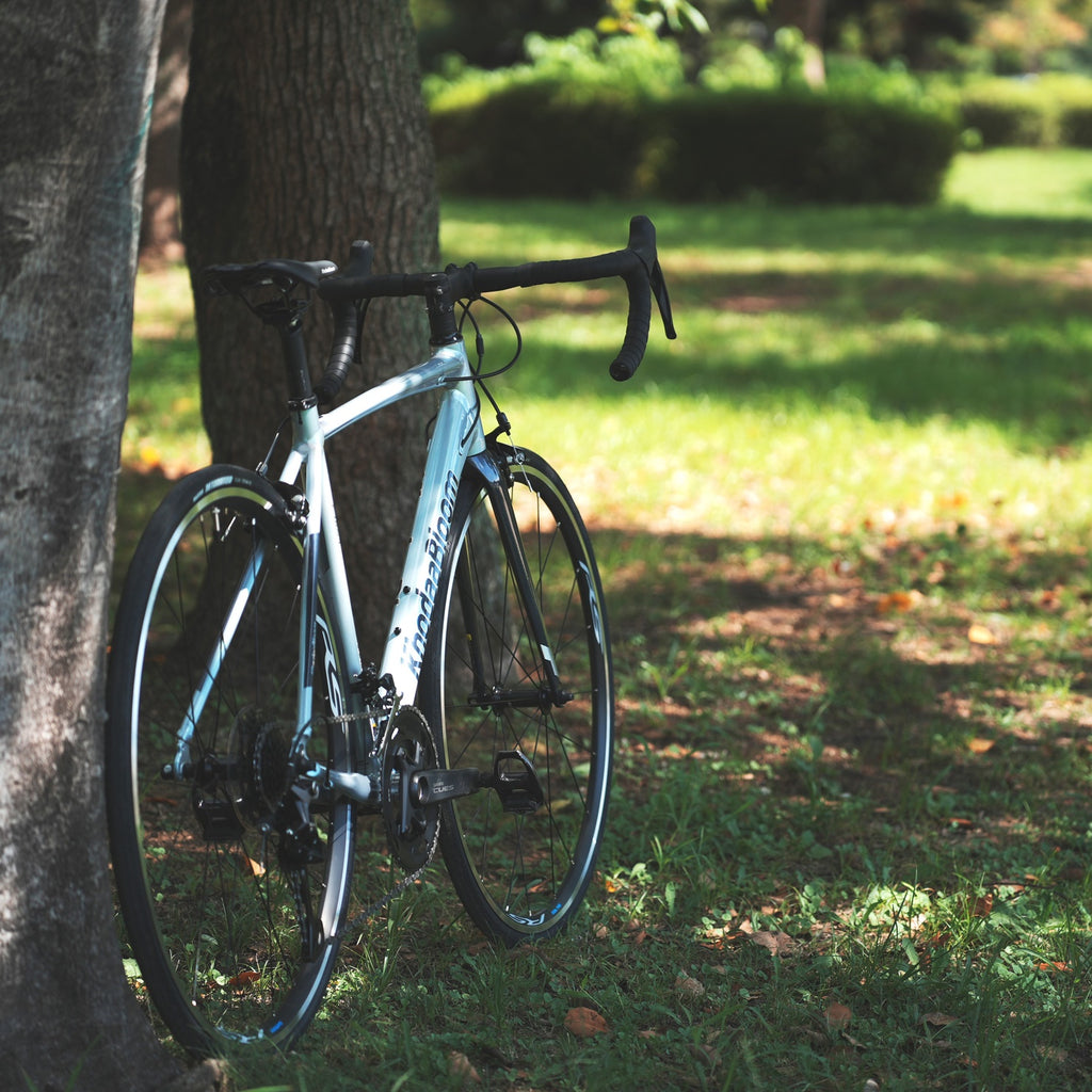 KhodaaBloom_*【2026年モデル】FARNA SL2