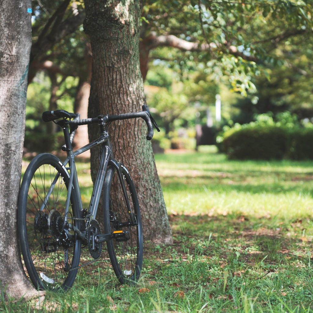 KhodaaBloom_*【2026年モデル】TERASTER SL