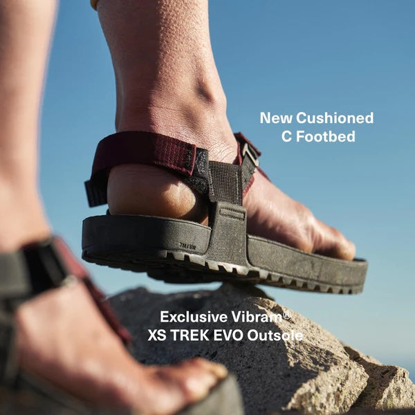 Cairn Evo C Sandals - 2025SS New Color ベッドロックサンダルス ケルン エヴォ
