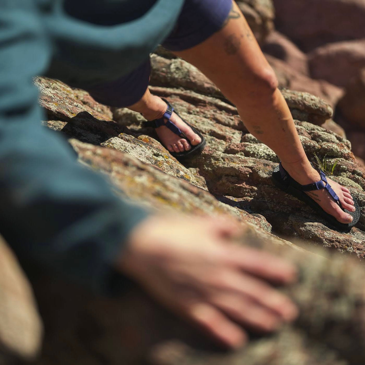 Cairn Evo Sandals - 2025SS New Color ベッドロックサンダルス ケルン エヴォ