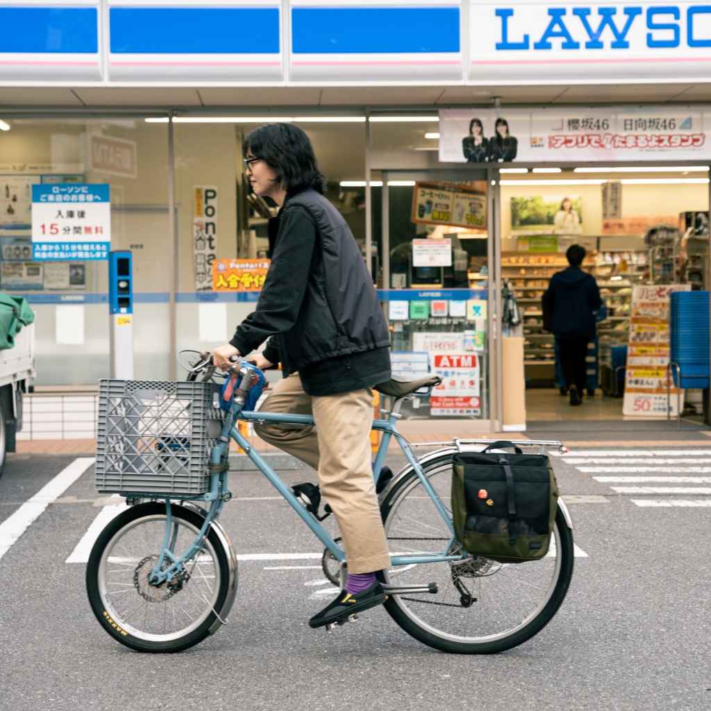 grocery pannier