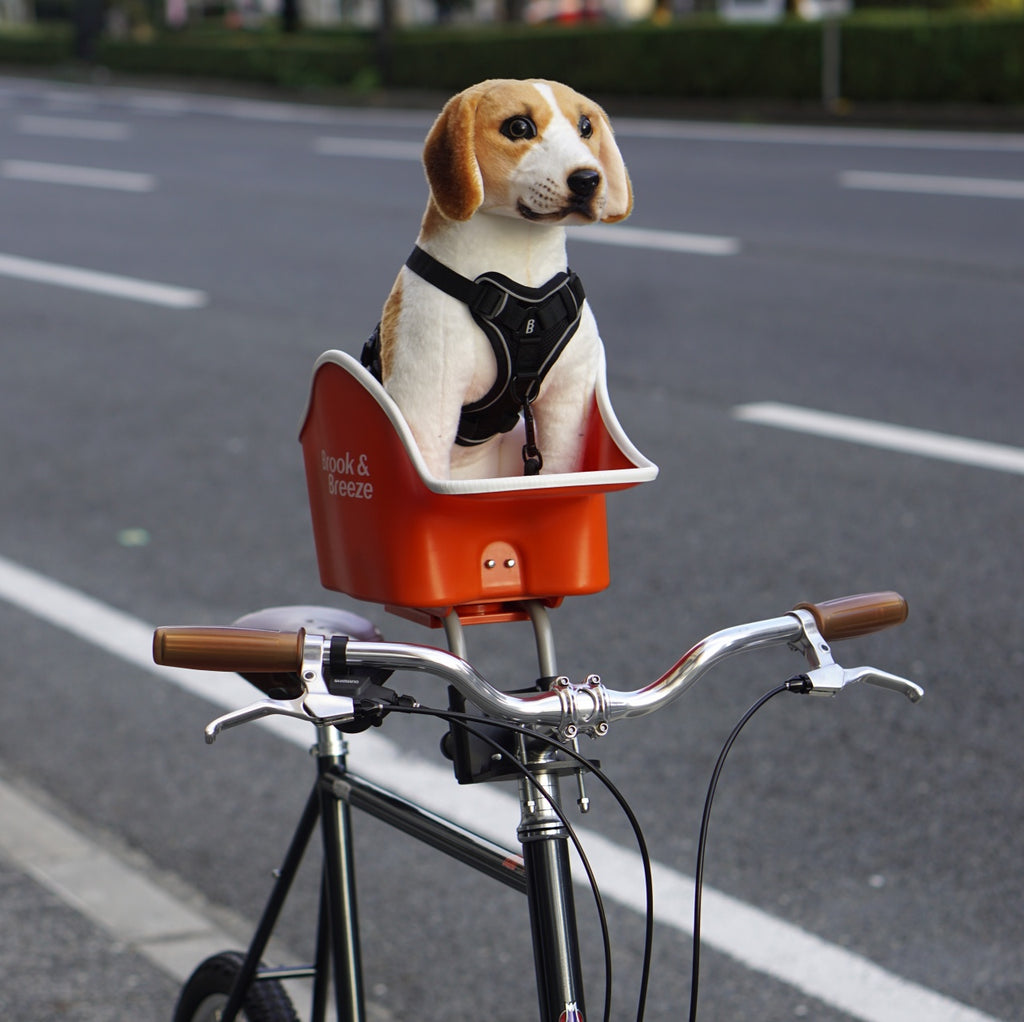 Brook & Breeze_Canine Copilot