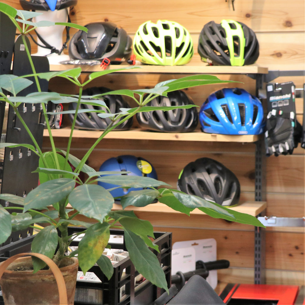 eirin今出川京大前店別館