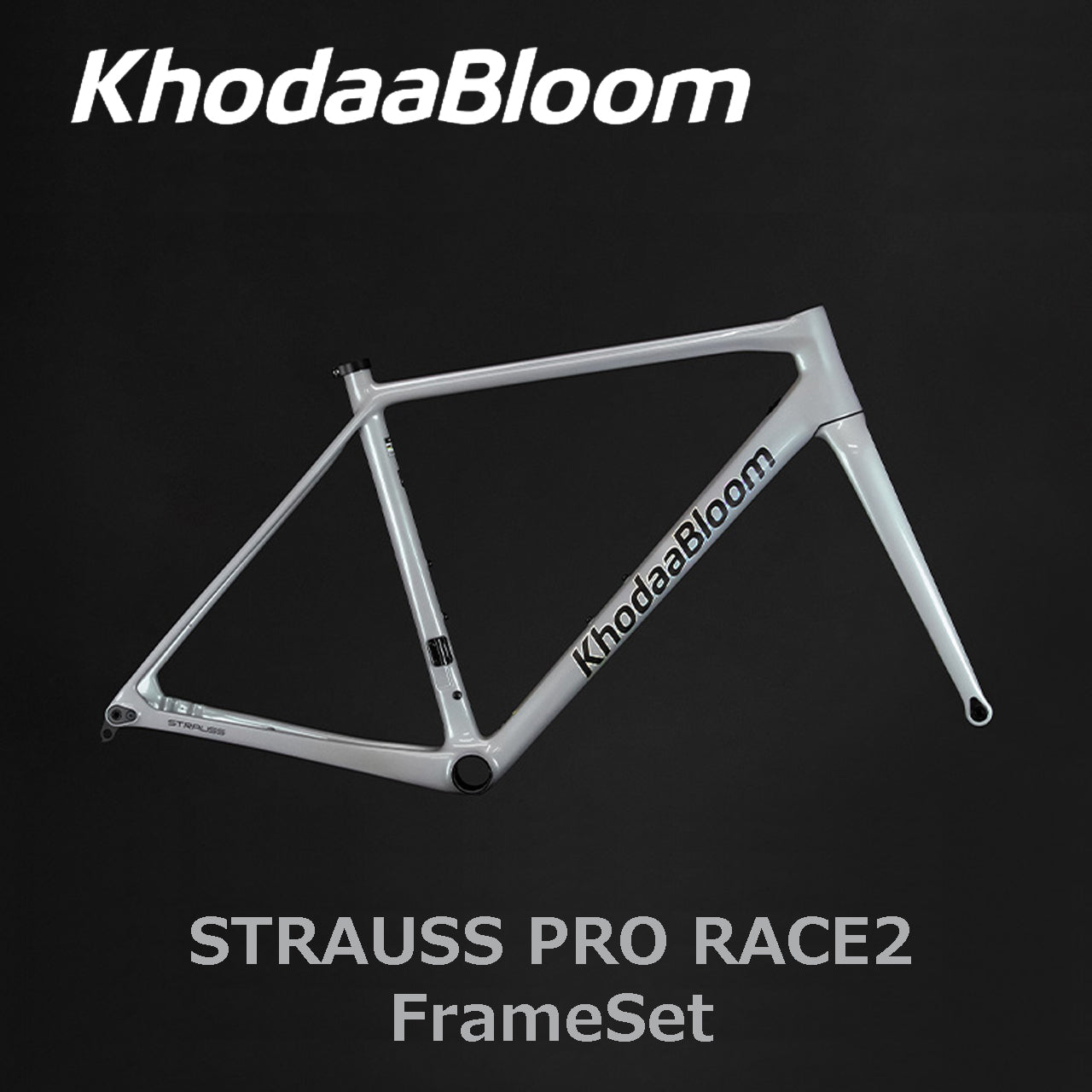 【2025年モデル】STRAUSS PRO RACE2 FrameSet(フレームセット) コーダーブルーム ロードバイク フレームセット ストラウスプロレース2 カーボンフレーム