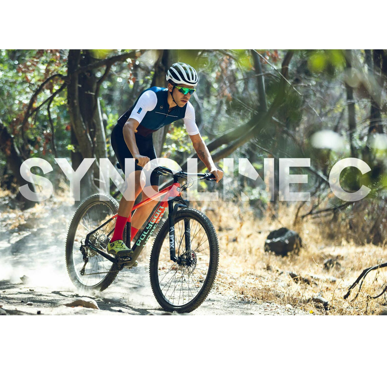 SYNCLINE C5 ポリゴン ポリゴン シンライン ポリゴン マウンテンバイク ポリゴン MTB シンライン シンラインC5