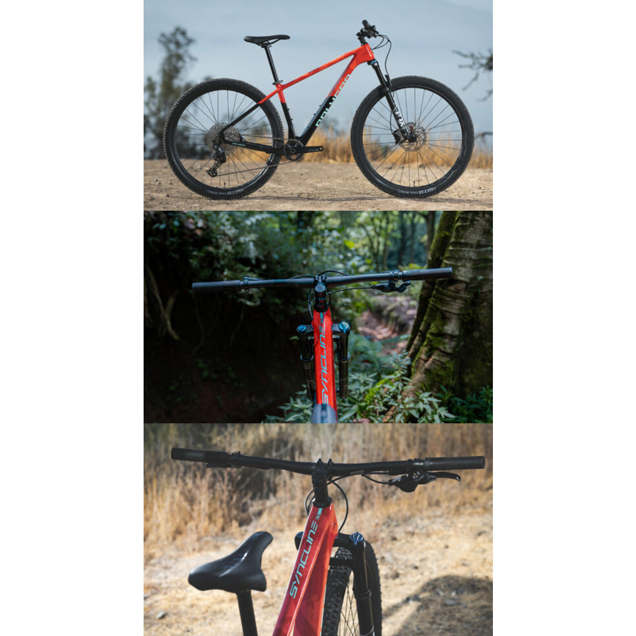 SYNCLINE C5 ポリゴン ポリゴン シンライン ポリゴン マウンテンバイク ポリゴン MTB シンライン シンラインC5