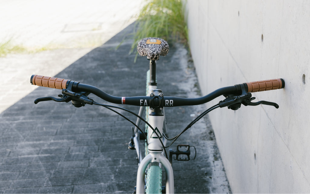 FUJI_【2025年モデル】RAIZ DISC