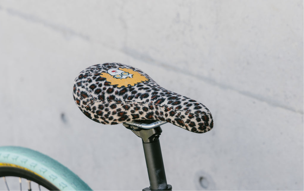 FUJI_【2025年モデル】RAIZ DISC