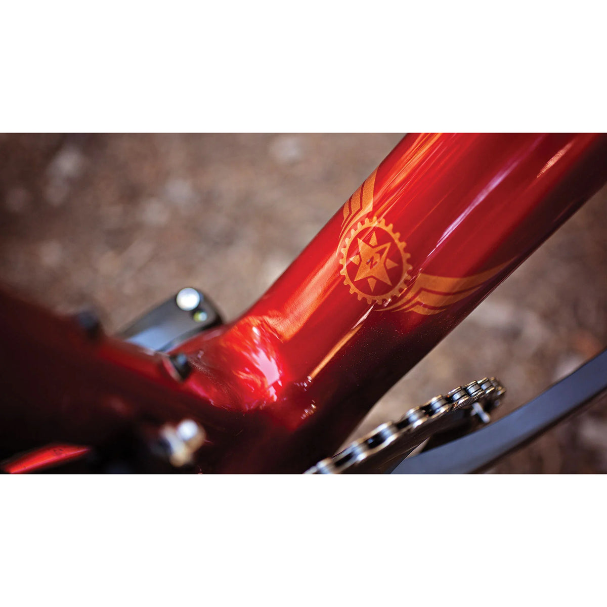 17 WARBIRD CARBON(Frame set|RED/ORANGE)