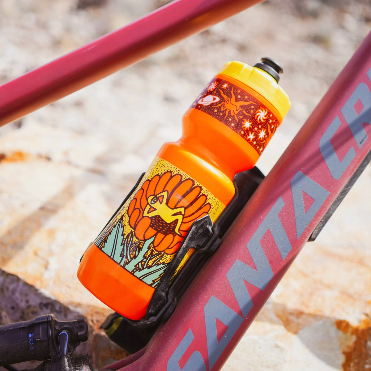 Earth Gazer Bottle