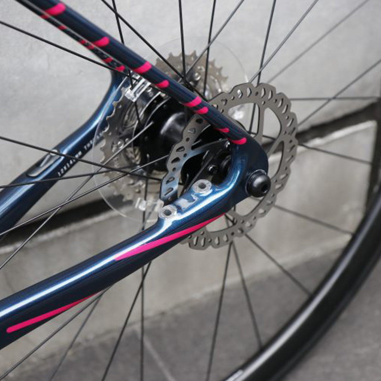 【京都/店頭お渡し限定】【アウトレット】【2023年モデル】VELTRIX DISC(フレームセット) チネリ ヴェルトリクス ディスク