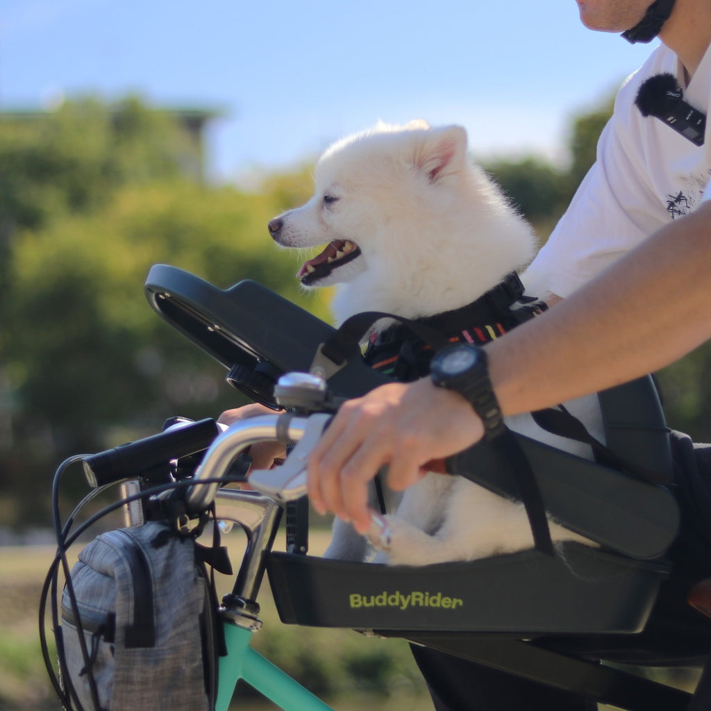 BuddyRider_ペットシート Series2(自転車用)