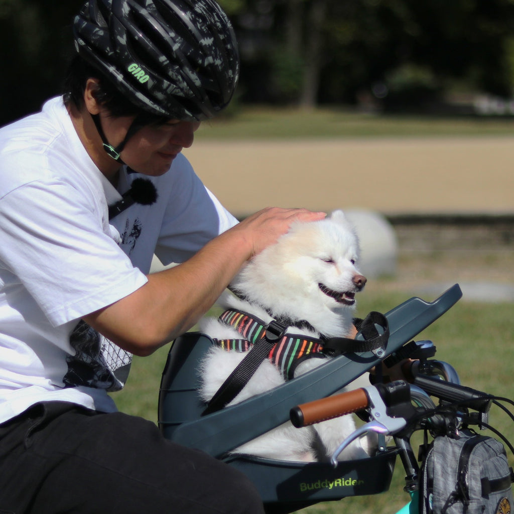 BuddyRider_ペットシート Series2(自転車用)