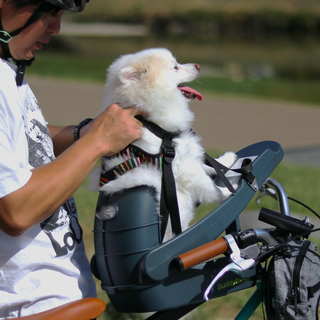 BuddyRider_ペットシート Series2(自転車用)