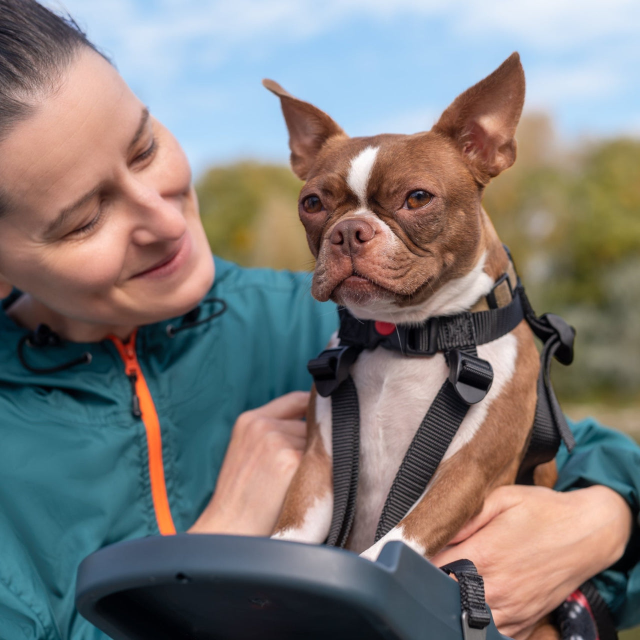ペットシート Series2(自転車用) 自転車 犬用シート ペットとサイクリング 小型犬用チャイルドシート サイクルアクセサリー 愛犬とおでかけ 前乗せシート 犬用キャリア