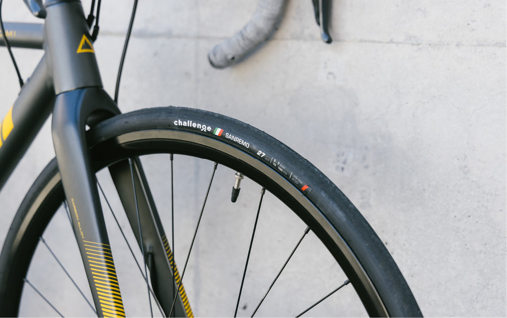 FUJI_【在庫セール!】【2025年モデル】NAOMI DISC