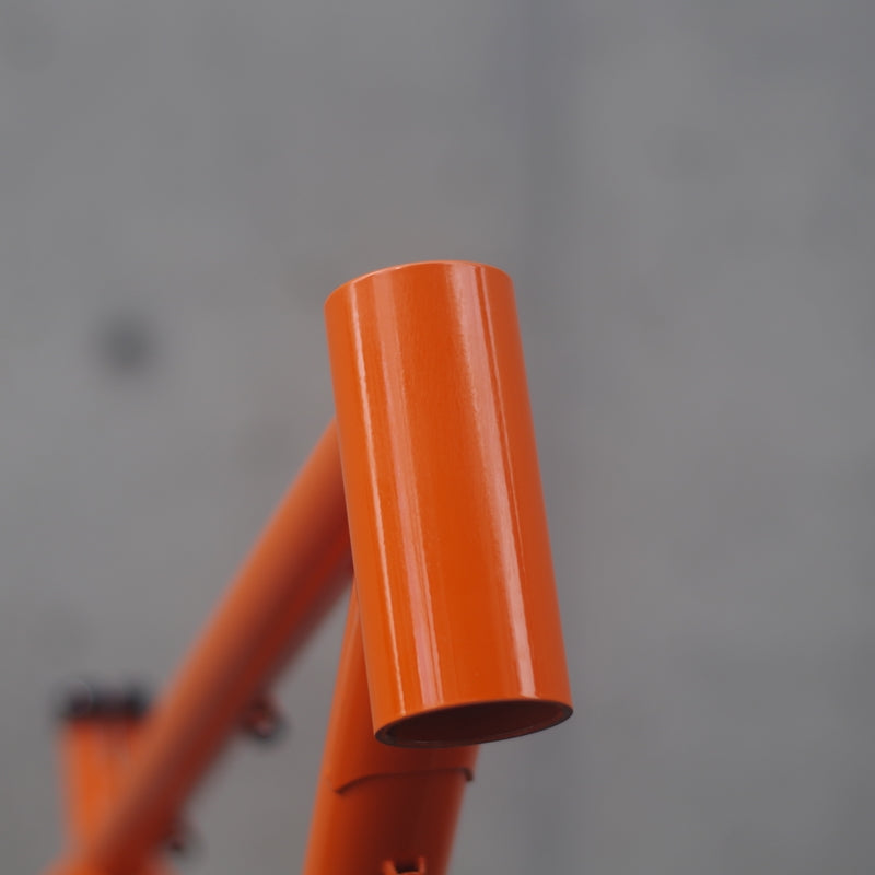 【アウトレット】Buzzard (バザード)29er トレイルバイク MTB フレームセット シンギュラー バザード OUTLET