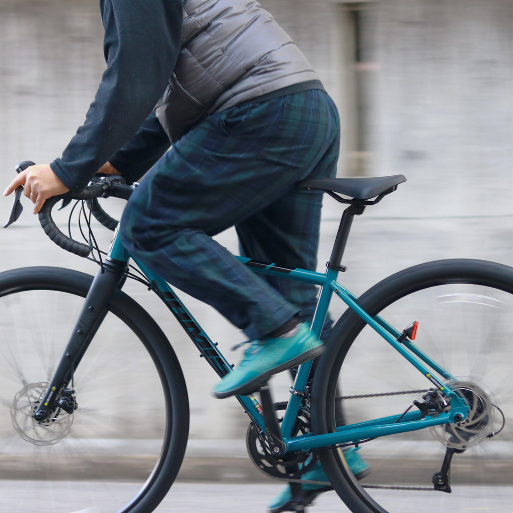 JAMIS_【2025年モデル】RENEGADE S4