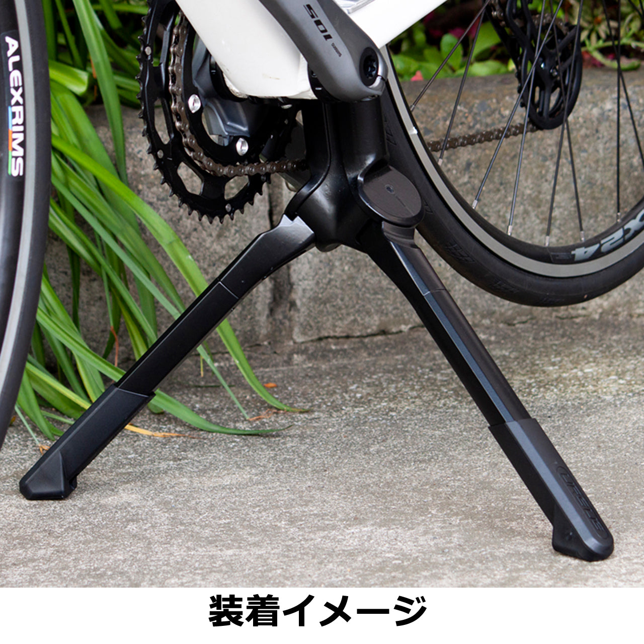 Jumbo evo (ジャンボ エボ)