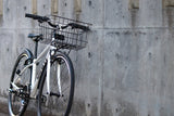 collection/2025-giant-escape-r3