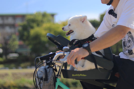 お気に入りの自転車とペットの最強サイクリングが楽しめるペットシート「BuddyRider Series2」