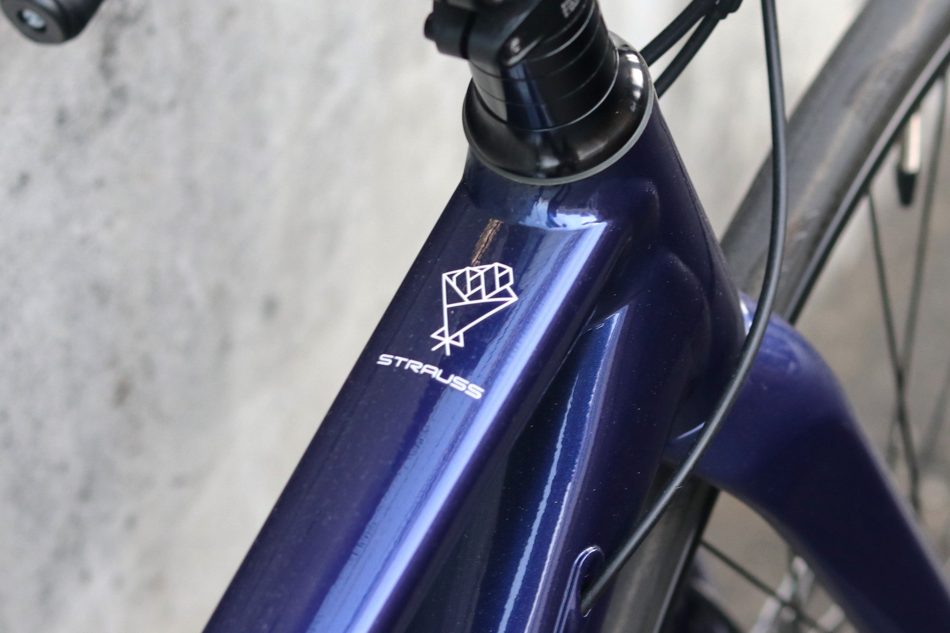 型落ちセール！20％OFF】レースを見据えた入門モデルにピッタリな 