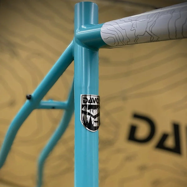 ネオランドナー D604 Ver.2（フレームセット）