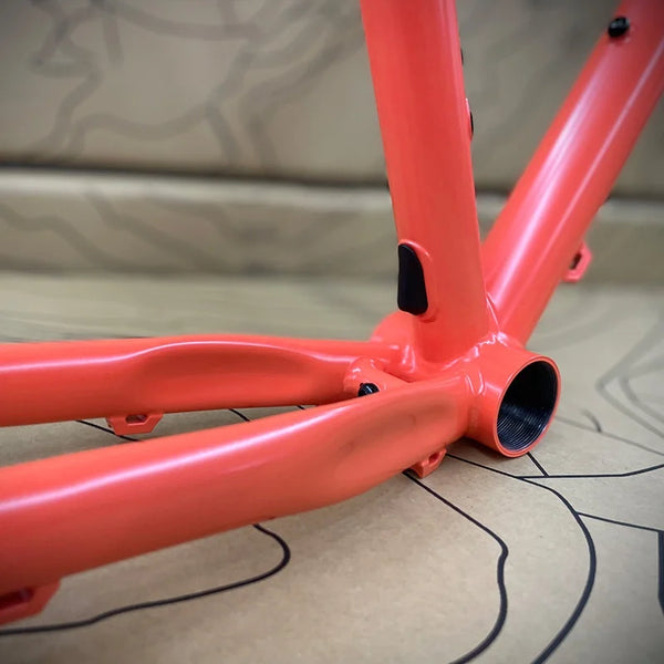 ネオランドナー D604 Ver.2（フレームセット）