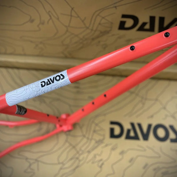 ネオランドナー D604 Ver.2（フレームセット）