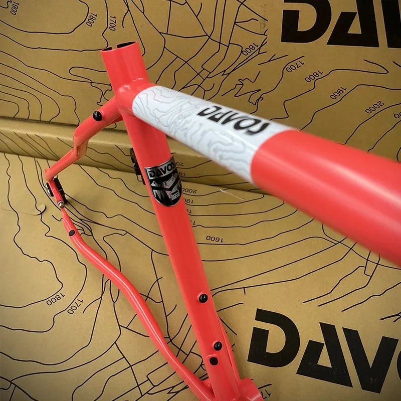 DAVOS / ネオランドナー D604 Ver.2【フレームセット】-ダボス DAVOS / ネオランドナー D604 Ver.2【フレームセット】-ダボス