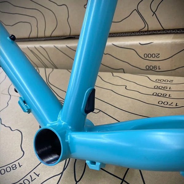 ネオランドナー D604 Ver.2（フレームセット）