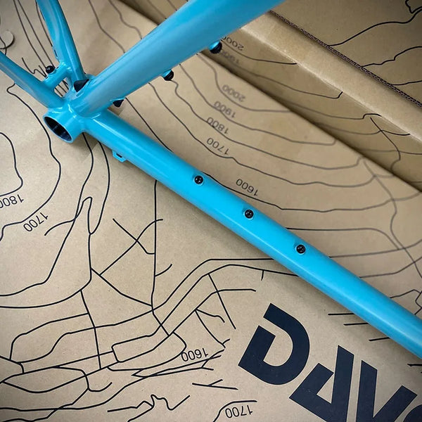 ネオランドナー D604 Ver.2（フレームセット）