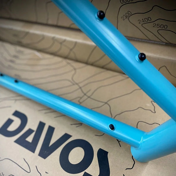 ネオランドナー D604 Ver.2（フレームセット）