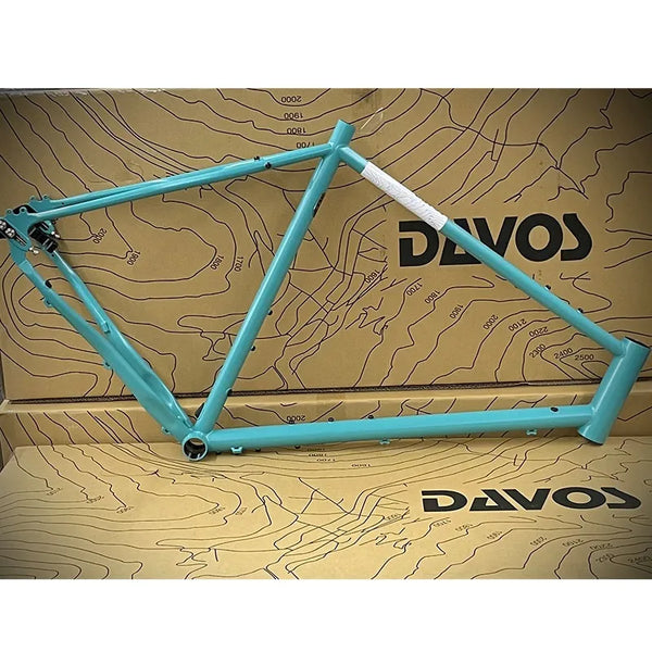 ネオランドナー D604 Ver.2（フレームセット）