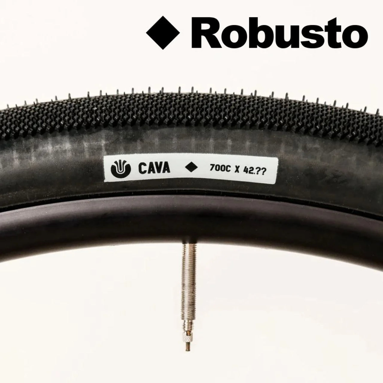 cava robusto tire (black)