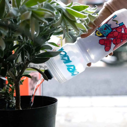 rokkaku boy water bottle