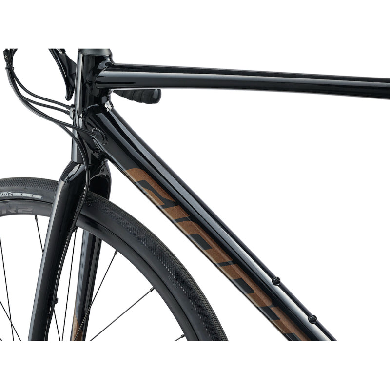 【型落ちセール！】【京都/店頭お渡し限定】【2023年モデル】Contend AR 1（480size）