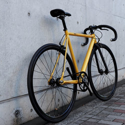 FUJI - CLEARANCE SALE -