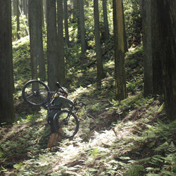 【2026年モデル】ROVE LTD（SRAM） PHOTO COLLECTION
